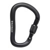 Black Diamond Rocklok Screwgate Carabiner