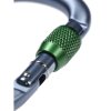 Carabiner Black Diamond Pearlock ScrewGate