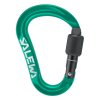 Carabiner Salewa Ortles HMS S