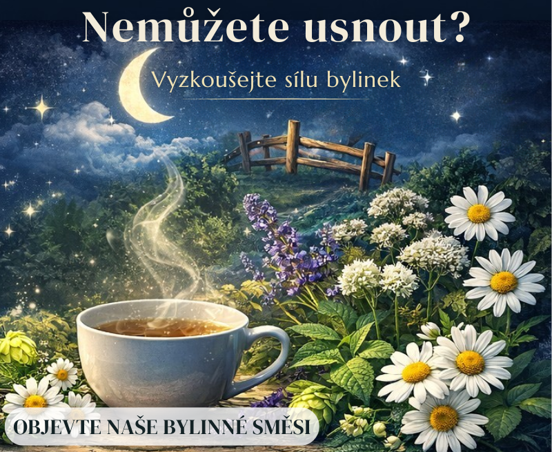 Bylinky na dobrý spánek - přírodní lék na nespavost