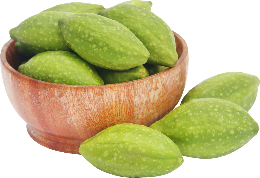 Haritaki.fruit