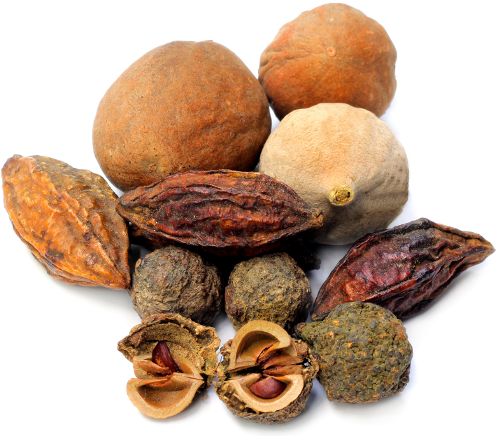 Triphala.plody