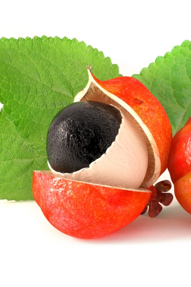 Guarana
