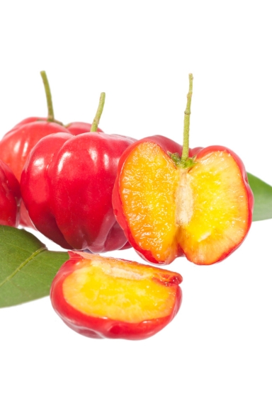 Acerola a camu camu