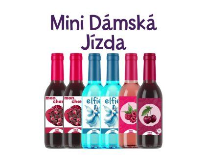 15493 mini damska jizda