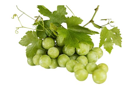 454e08f5 ee93 4b41 94ad a67ad43e45a9