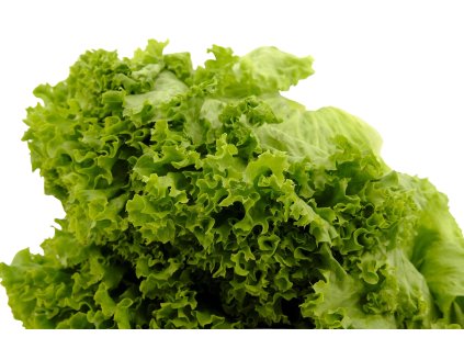 4f277d49 4b1b 49c3 b2fa 270a2ece814d