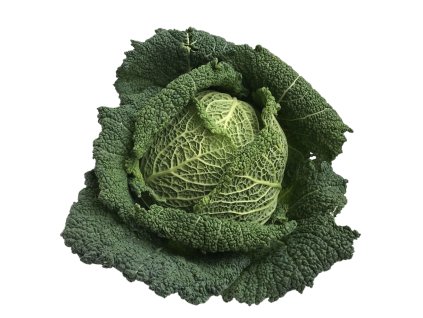 9c316e02 77e3 4bd8 951c 61b74f2575f1