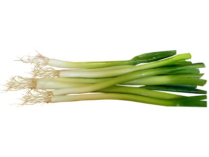 spring onions 3678921 1280