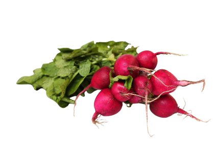 efa9a8ba 2bd9 4e80 b042 6e4ada3e6dad