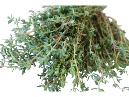 7fc0fa98 704e 4501 922c 92c95b9b8dc1