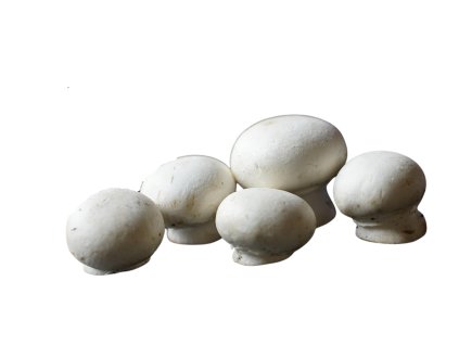 dbded196 2f95 4f8d ac81 9aab8afb0e6e