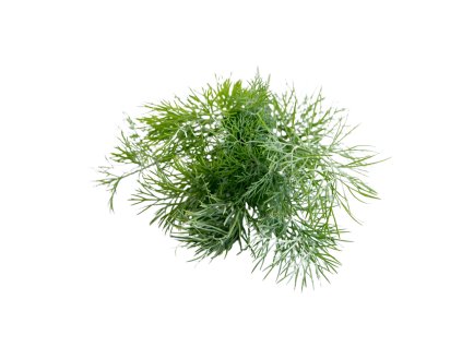 0e9e228f a50e 43d9 a1bc f0c7469dde12