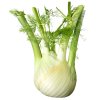 fennel 3657761 1280