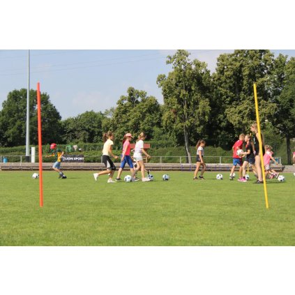 Sportovní dětské léto 11. - 15. 7. 2022 (1.termín)