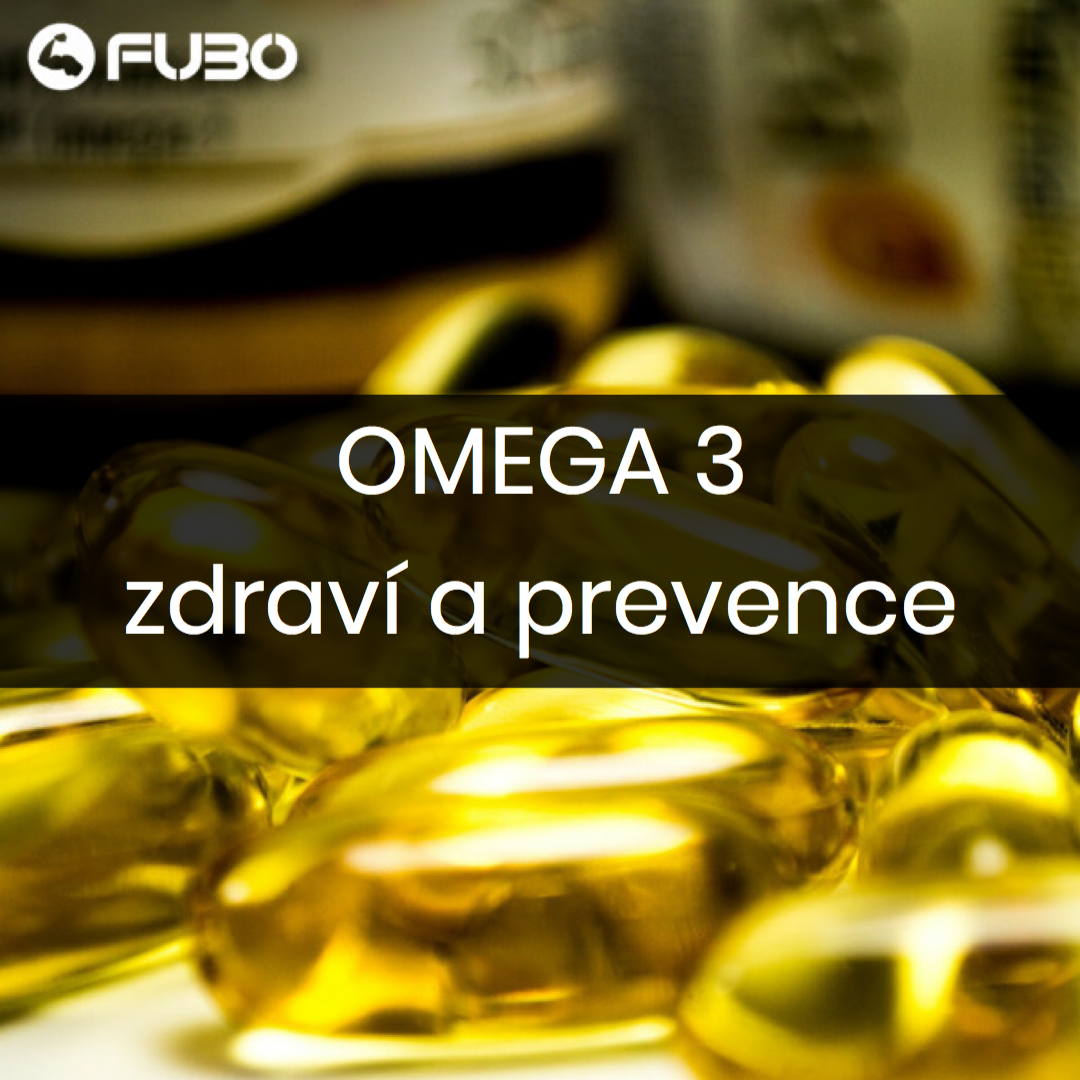 Omega 3 kyseliny - Pro zdraví orgánů i mozku