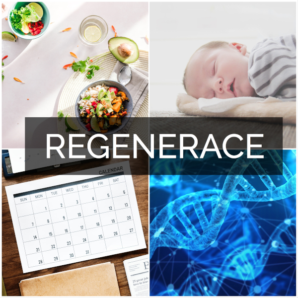 Faktory ovlivňujicí regeneraci