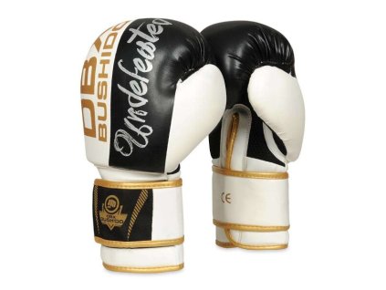 Boxerské rukavice DBX BUSHIDO B-2v16 (Name B-2V16 8 OZ BOXERSKÉ RUKAVICE DBX BUSHIDO, Size 8oz.)