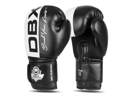 Boxerské rukavice DBX BUSHIDO B-2v20 (Name B-2V20 10 OZ BOXERSKÉ RUKAVICE DBX BUSHIDO, Size 10oz)
