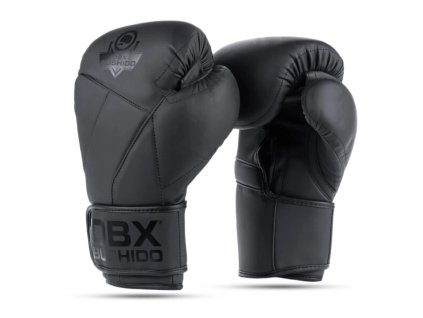 Boxerské rukavice DBX BUSHIDO B-2v15B (Name B-2V15B 10 OZ BOXERSKÉ RUKAVICE DBX BUSHIDO, Size 10oz.)