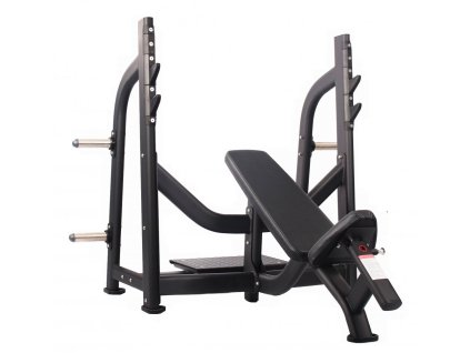 Incline Bench (Váha 90 kg, Délka 175,8 cm)
