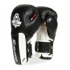 Boxerské rukavice DBX BUSHIDO B-3W Pro (Name B-3W PRO 10 OZ. BOXERSKÉ RUKAVICE DBX BUSHIDO, Size 10oz.)