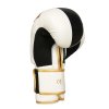 Boxerské rukavice DBX BUSHIDO B-2v16 (Name B-2V16 8 OZ BOXERSKÉ RUKAVICE DBX BUSHIDO, Size 8oz.)