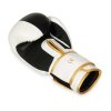 Boxerské rukavice DBX BUSHIDO B-2v16 (Name B-2V16 8 OZ BOXERSKÉ RUKAVICE DBX BUSHIDO, Size 8oz.)