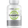 EXP 6.3.2023 - AONE Boswellia Serrata 90 kapslí