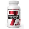7NUTRITION Berberine HCL Plus 100 cps, berberin, skořice (Varianta kurkuminoidy a piperin)