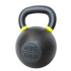 Truesteel litinový kettlebell (Váha 40 kg)