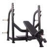 Incline Bench (Váha 90 kg, Délka 175,8 cm)