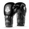 Boxerské rukavice DBX BUSHIDO Warrior BLACK (Name WARRIOR BLACK 10 OZ. BOXERSKÉ RUKAVICE DBX BUSHIDO, Size 10oz.)