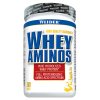 Weider, Whey Aminos (Varianta 300 tablet)