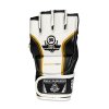 MMA rukavice DBX BUSHIDO e1v1 (Name MMA rukavice DBX BUSHIDO e1v1 vel. L, Size L)