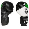 Boxerské rukavice DBX BUSHIDO B-2v6 (Name Boxerské rukavice DBX BUSHIDO B-2v6 vel.10 oz, Size 10 z.)