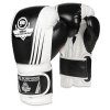 Boxerské rukavice DBX BUSHIDO B-2v3A (Name Boxerské rukavice DBX BUSHIDO B-2v3A 10 oz, Size 10oz)