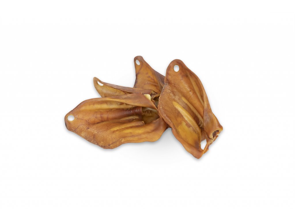 Bravčové ucho Exclusive 100 ks s dopravou zadarmo