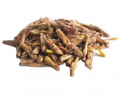 Sušené lúčne koníky 100 g