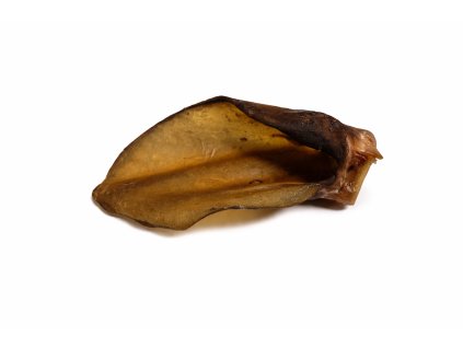 ChatGPT Image 10. 3. 2026, 15 15 43