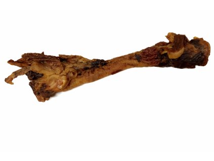 ChatGPT Image 10. 3. 2026, 13 26 19