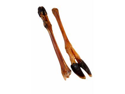 ChatGPT Image 10. 3. 2026, 13 23 04