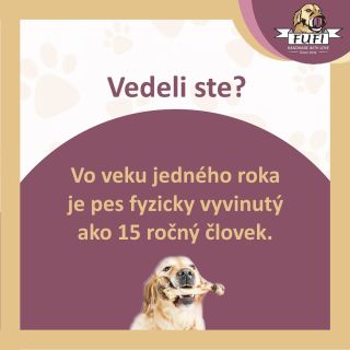 Koľko rokov má váš psík? Napíšte nám do komentára. 🥰 . . #milujemepsy #milujemepsov #prepsy #prepsikov...