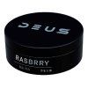 RASBRRY