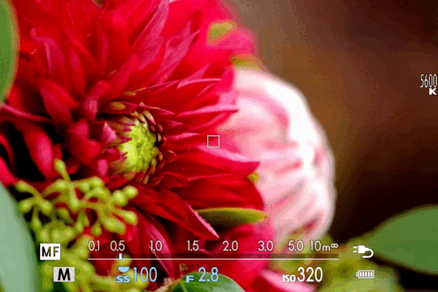 XS10_mf_assist