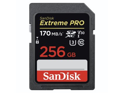 SanDisk