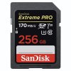 SanDisk