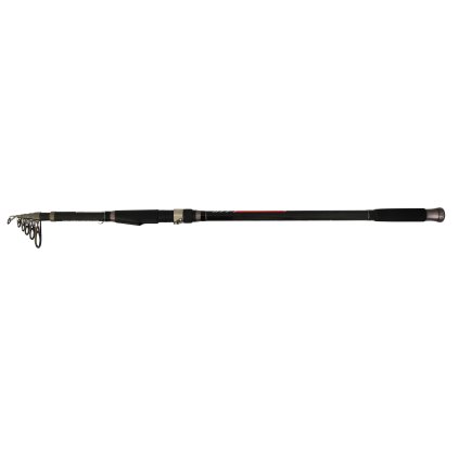 telecarp 12 2.75 a 1 (1)