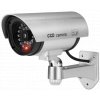 1157 vyr 9031 camera silver 1