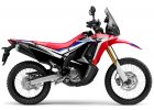 Honda CRF 300 / Rally